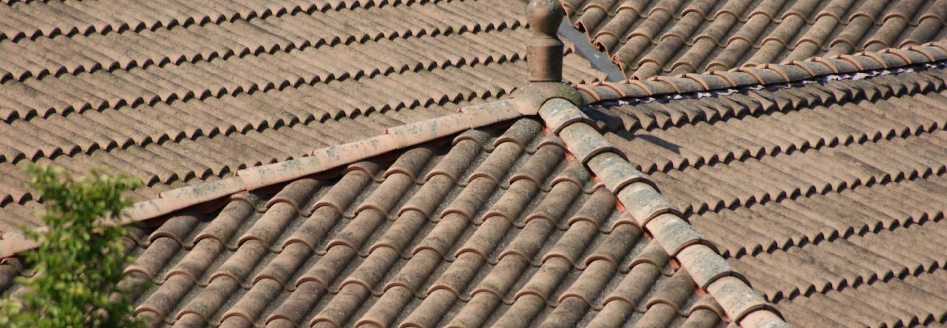 Clone of Tretia Galéria domy 