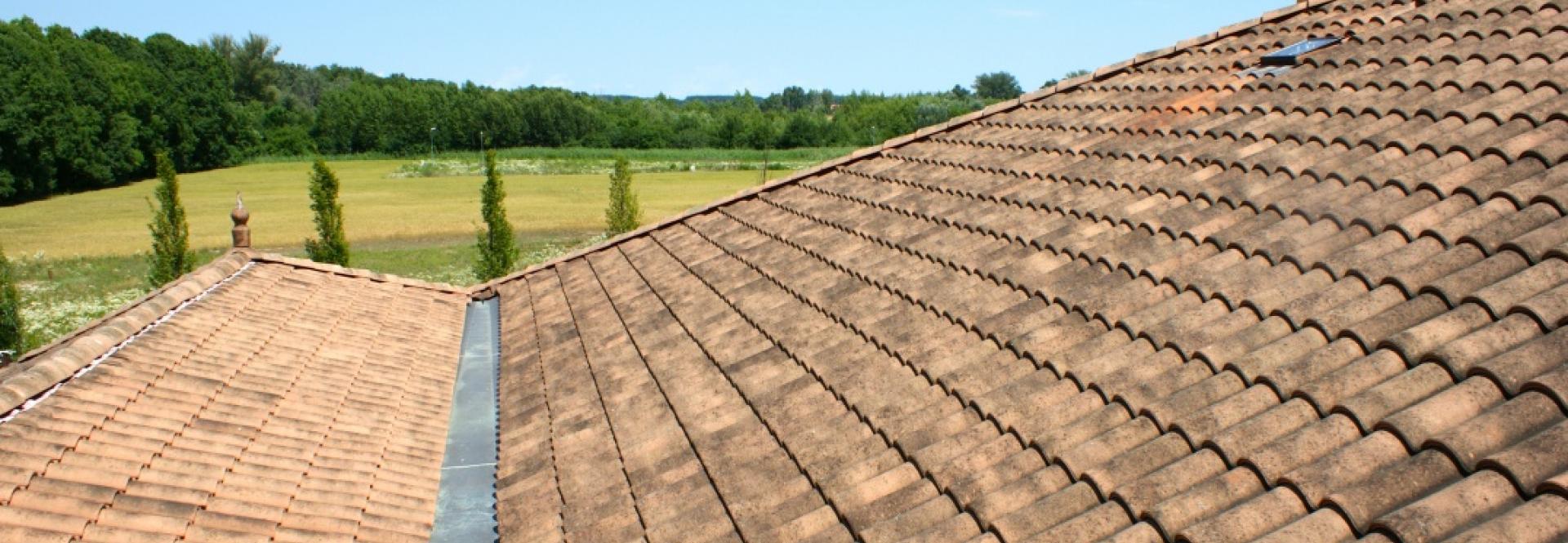 Clone of Tretia Galéria domy 